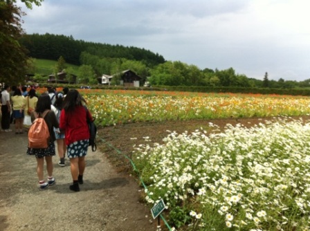 20140618_hokkaido_gogo2